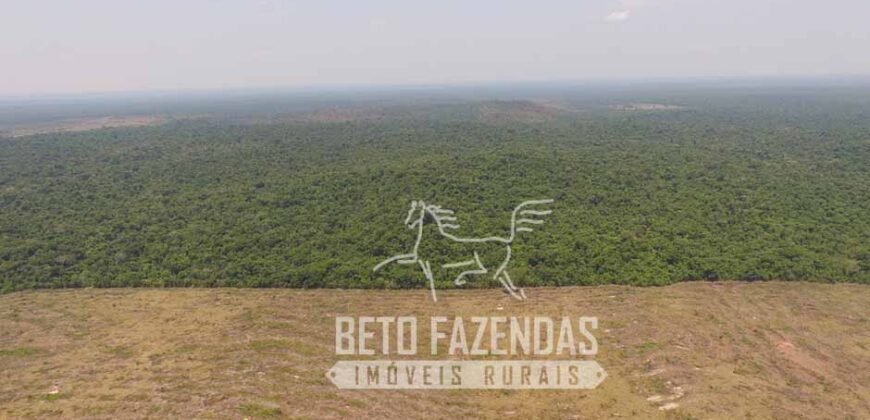 Fazenda de Alta Produtividade 11.600 hectares Infraestrutura Completa | Peixoto/ MT Fazenda de Alta Produtividade 11.600 hectares Infraestrutura Completa | Peixoto/ MT