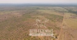 Fazenda de Alta Produtividade 11.600 hectares Infraestrutura Completa | Peixoto/ MT Fazenda de Alta Produtividade 11.600 hectares Infraestrutura Completa | Peixoto/ MT