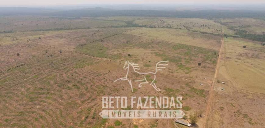 Fazenda de Alta Produtividade 11.600 hectares Infraestrutura Completa | Peixoto/ MT Fazenda de Alta Produtividade 11.600 hectares Infraestrutura Completa | Peixoto/ MT