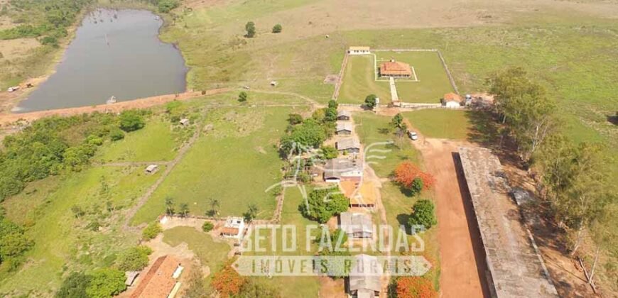 Fazenda de Alta Produtividade 11.600 hectares Infraestrutura Completa | Peixoto/ MT Fazenda de Alta Produtividade 11.600 hectares Infraestrutura Completa | Peixoto/ MT