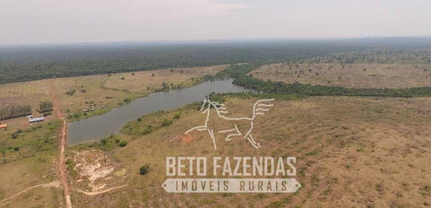 Fazenda de Alta Produtividade 11.600 hectares Infraestrutura Completa | Peixoto/ MT Fazenda de Alta Produtividade 11.600 hectares Infraestrutura Completa | Peixoto/ MT