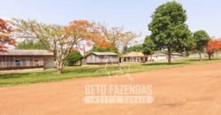 Fazenda de Alta Produtividade 11.600 hectares Infraestrutura Completa | Peixoto/ MT Fazenda de Alta Produtividade 11.600 hectares Infraestrutura Completa | Peixoto/ MT