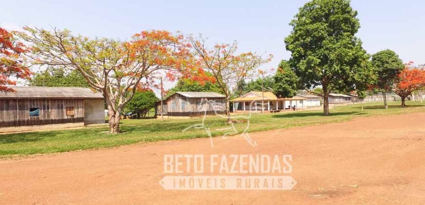 Fazenda de Alta Produtividade 11.600 hectares Infraestrutura Completa | Peixoto/ MT Fazenda de Alta Produtividade 11.600 hectares Infraestrutura Completa | Peixoto/ MT