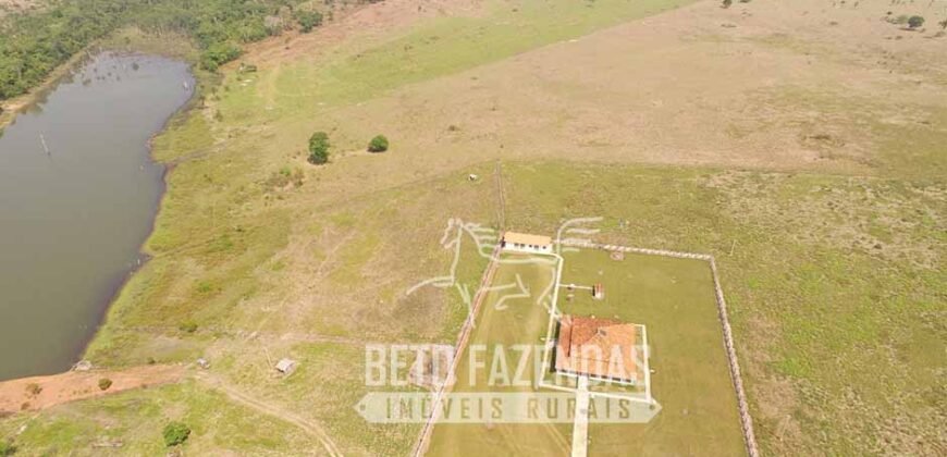Fazenda de Alta Produtividade 11.600 hectares Infraestrutura Completa | Peixoto/ MT Fazenda de Alta Produtividade 11.600 hectares Infraestrutura Completa | Peixoto/ MT