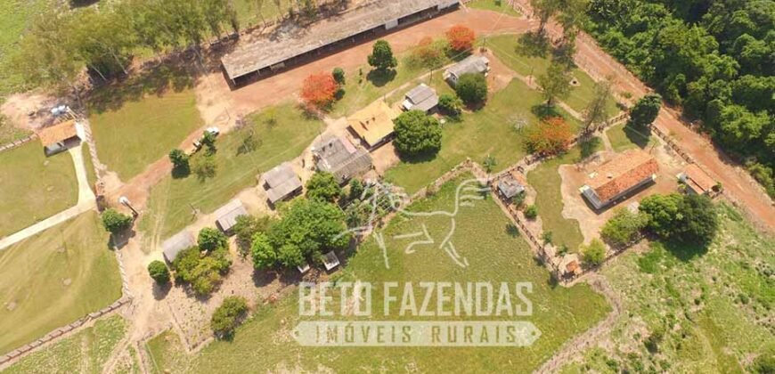 Fazenda de Alta Produtividade 11.600 hectares Infraestrutura Completa | Peixoto/ MT Fazenda de Alta Produtividade 11.600 hectares Infraestrutura Completa | Peixoto/ MT