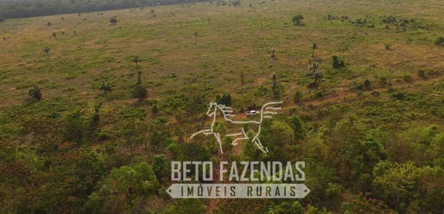 Fazenda de Alta Produtividade 11.600 hectares Infraestrutura Completa | Peixoto/ MT Fazenda de Alta Produtividade 11.600 hectares Infraestrutura Completa | Peixoto/ MT