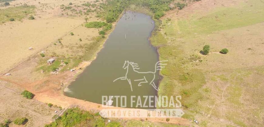 Fazenda de Alta Produtividade 11.600 hectares Infraestrutura Completa | Peixoto/ MT Fazenda de Alta Produtividade 11.600 hectares Infraestrutura Completa | Peixoto/ MT