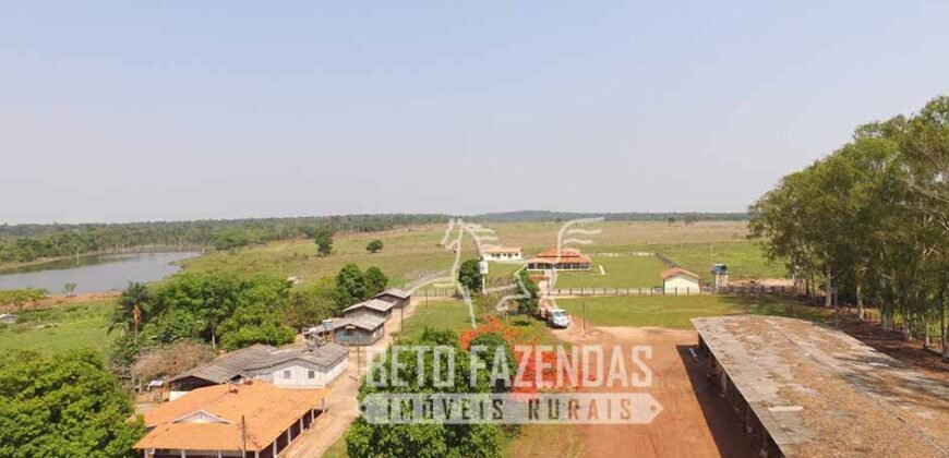 Fazenda de Alta Produtividade 11.600 hectares Infraestrutura Completa | Peixoto/ MT Fazenda de Alta Produtividade 11.600 hectares Infraestrutura Completa | Peixoto/ MT