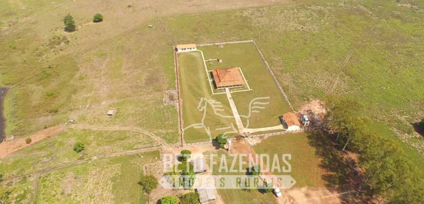 Fazenda de Alta Produtividade 11.600 hectares Infraestrutura Completa | Peixoto/ MT Fazenda de Alta Produtividade 11.600 hectares Infraestrutura Completa | Peixoto/ MT