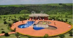 Fazenda de Alto Padrão 394,4 Has Montada na Pecuária Porteira Fechada | Próxima a São Paulo/ SP