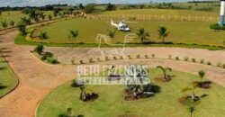 Fazenda de Alto Padrão 394,4 Has Montada na Pecuária Porteira Fechada | Próxima a São Paulo/ SP