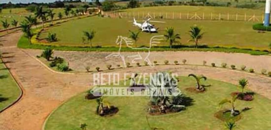 Fazenda de Alto Padrão 394,4 Has Montada na Pecuária Porteira Fechada | Próxima a São Paulo/ SP