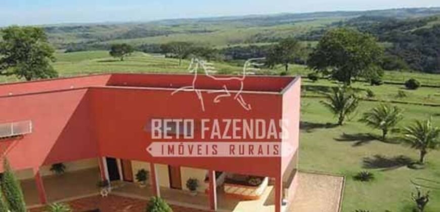 Fazenda de Alto Padrão 394,4 Has Montada na Pecuária Porteira Fechada | Próxima a São Paulo/ SP