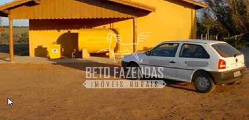 Fazenda de Alto Padrão 394,4 Has Montada na Pecuária Porteira Fechada | Próxima a São Paulo/ SP
