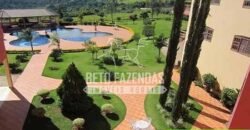 Fazenda de Alto Padrão 394,4 Has Montada na Pecuária Porteira Fechada | Próxima a São Paulo/ SP