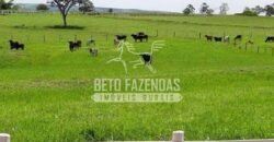 Fazenda de Alto Padrão 394,4 Has Montada na Pecuária Porteira Fechada | Próxima a São Paulo/ SP