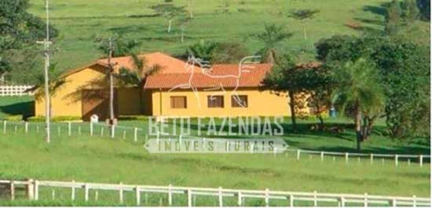 Fazenda de Alto Padrão 394,4 Has Montada na Pecuária Porteira Fechada | Próxima a São Paulo/ SP