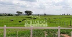 Fazenda de Alto Padrão 394,4 Has Montada na Pecuária Porteira Fechada | Próxima a São Paulo/ SP