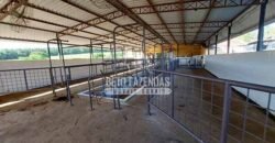 Fazenda de Alto Padrão 394,4 Has Montada na Pecuária Porteira Fechada | Próxima a São Paulo/ SP