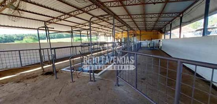 Fazenda de Alto Padrão 394,4 Has Montada na Pecuária Porteira Fechada | Próxima a São Paulo/ SP