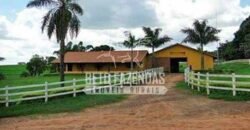 Fazenda de Alto Padrão 394,4 Has Montada na Pecuária Porteira Fechada | Próxima a São Paulo/ SP