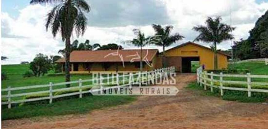 Fazenda de Alto Padrão 394,4 Has Montada na Pecuária Porteira Fechada | Próxima a São Paulo/ SP