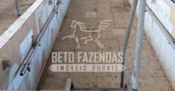 Fazenda de Alto Padrão 394,4 Has Montada na Pecuária Porteira Fechada | Próxima a São Paulo/ SP