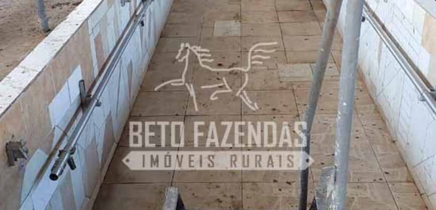 Fazenda de Alto Padrão 394,4 Has Montada na Pecuária Porteira Fechada | Próxima a São Paulo/ SP