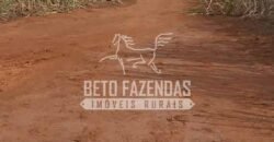 Fazenda Produtiva 3.260 hectares Lavoura de Cana e Eucalipto | João Pinheiro/MG Fazenda Produtiva 3.260 hectares Lavoura de Cana e Eucalipto | João Pinheiro/MG