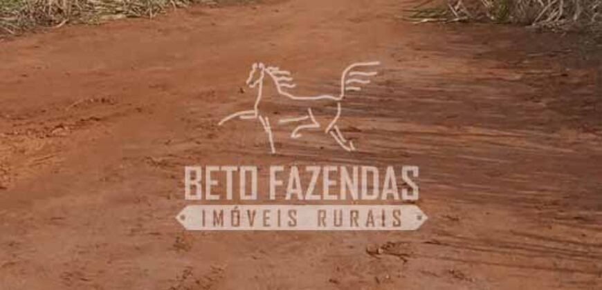 Fazenda Produtiva 3.260 hectares Lavoura de Cana e Eucalipto | João Pinheiro/MG Fazenda Produtiva 3.260 hectares Lavoura de Cana e Eucalipto | João Pinheiro/MG