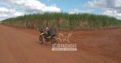 Fazenda Produtiva 3.260 hectares Lavoura de Cana e Eucalipto | João Pinheiro/MG Fazenda Produtiva 3.260 hectares Lavoura de Cana e Eucalipto | João Pinheiro/MG