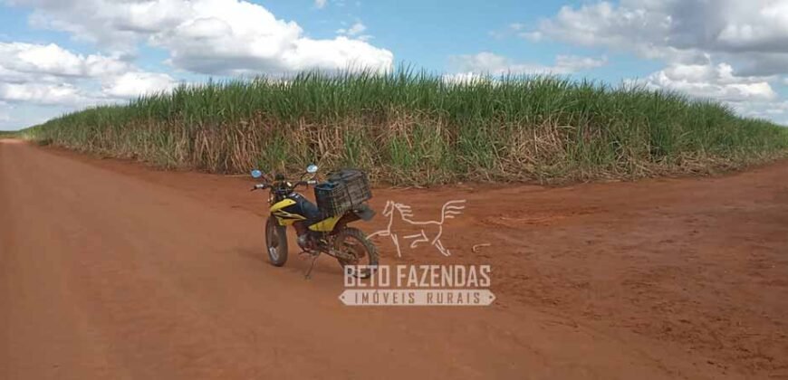 Fazenda Produtiva 3.260 hectares Lavoura de Cana e Eucalipto | João Pinheiro/MG Fazenda Produtiva 3.260 hectares Lavoura de Cana e Eucalipto | João Pinheiro/MG