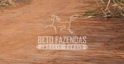 Fazenda Produtiva 3.260 hectares Lavoura de Cana e Eucalipto | João Pinheiro/MG Fazenda Produtiva 3.260 hectares Lavoura de Cana e Eucalipto | João Pinheiro/MG