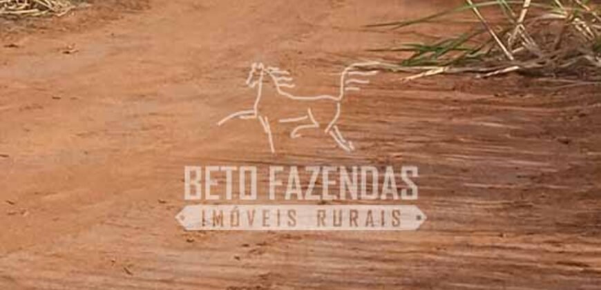 Fazenda Produtiva 3.260 hectares Lavoura de Cana e Eucalipto | João Pinheiro/MG Fazenda Produtiva 3.260 hectares Lavoura de Cana e Eucalipto | João Pinheiro/MG