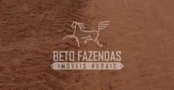 Fazenda Produtiva 3.260 hectares Lavoura de Cana e Eucalipto | João Pinheiro/MG Fazenda Produtiva 3.260 hectares Lavoura de Cana e Eucalipto | João Pinheiro/MG