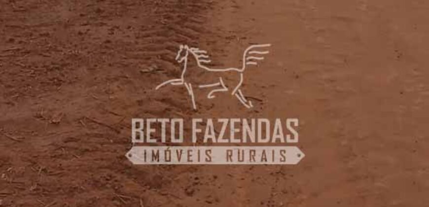 Fazenda Produtiva 3.260 hectares Lavoura de Cana e Eucalipto | João Pinheiro/MG Fazenda Produtiva 3.260 hectares Lavoura de Cana e Eucalipto | João Pinheiro/MG