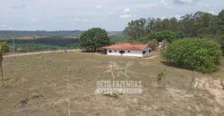 Fazenda Produtiva 3.260 hectares Lavoura de Cana e Eucalipto | João Pinheiro/MG Fazenda Produtiva 3.260 hectares Lavoura de Cana e Eucalipto | João Pinheiro/MG