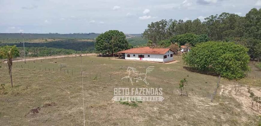 Fazenda Produtiva 3.260 hectares Lavoura de Cana e Eucalipto | João Pinheiro/MG Fazenda Produtiva 3.260 hectares Lavoura de Cana e Eucalipto | João Pinheiro/MG