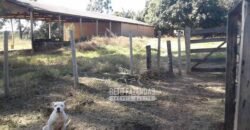 Fazenda Produtiva 3.260 hectares Lavoura de Cana e Eucalipto | João Pinheiro/MG Fazenda Produtiva 3.260 hectares Lavoura de Cana e Eucalipto | João Pinheiro/MG