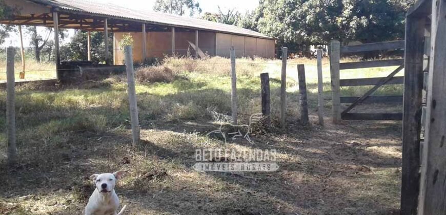 Fazenda Produtiva 3.260 hectares Lavoura de Cana e Eucalipto | João Pinheiro/MG Fazenda Produtiva 3.260 hectares Lavoura de Cana e Eucalipto | João Pinheiro/MG