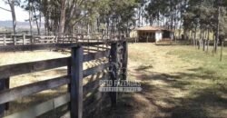 Fazenda Produtiva 3.260 hectares Lavoura de Cana e Eucalipto | João Pinheiro/MG Fazenda Produtiva 3.260 hectares Lavoura de Cana e Eucalipto | João Pinheiro/MG