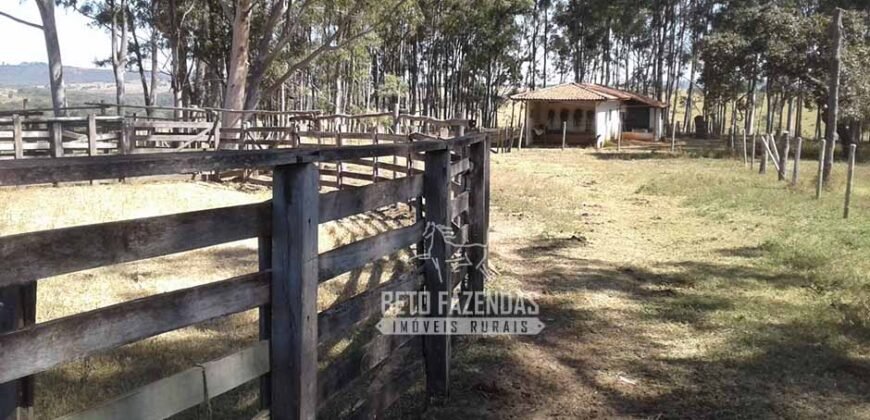 Fazenda Produtiva 3.260 hectares Lavoura de Cana e Eucalipto | João Pinheiro/MG Fazenda Produtiva 3.260 hectares Lavoura de Cana e Eucalipto | João Pinheiro/MG