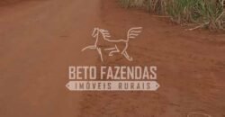 Fazenda Produtiva 3.260 hectares Lavoura de Cana e Eucalipto | João Pinheiro/MG Fazenda Produtiva 3.260 hectares Lavoura de Cana e Eucalipto | João Pinheiro/MG