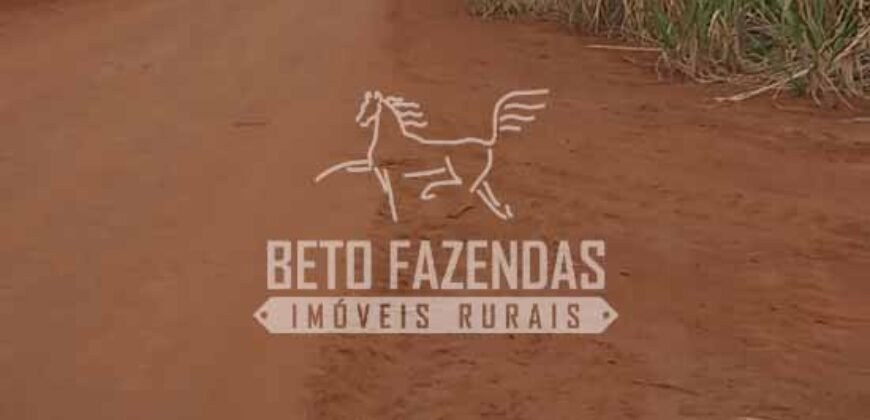 Fazenda Produtiva 3.260 hectares Lavoura de Cana e Eucalipto | João Pinheiro/MG Fazenda Produtiva 3.260 hectares Lavoura de Cana e Eucalipto | João Pinheiro/MG