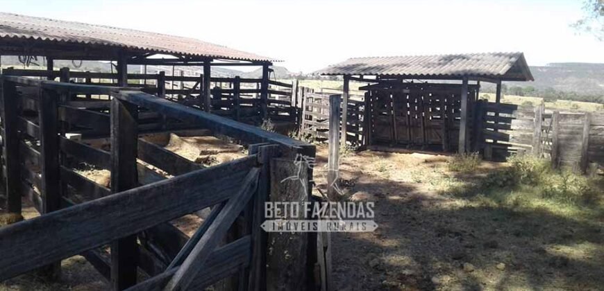 Fazenda Produtiva 3.260 hectares Lavoura de Cana e Eucalipto | João Pinheiro/MG Fazenda Produtiva 3.260 hectares Lavoura de Cana e Eucalipto | João Pinheiro/MG