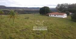 Fazenda Produtiva 3.260 hectares Lavoura de Cana e Eucalipto | João Pinheiro/MG Fazenda Produtiva 3.260 hectares Lavoura de Cana e Eucalipto | João Pinheiro/MG