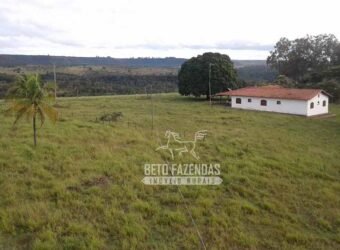Fazenda Produtiva 3.260 hectares Lavoura de Cana e Eucalipto | João Pinheiro/MG