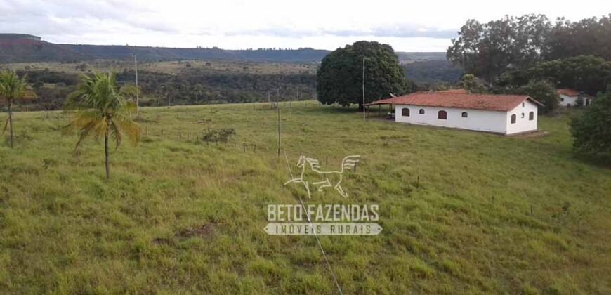 Fazenda Produtiva 3.260 hectares Lavoura de Cana e Eucalipto | João Pinheiro/MG Fazenda Produtiva 3.260 hectares Lavoura de Cana e Eucalipto | João Pinheiro/MG