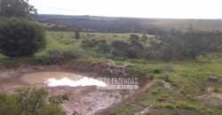 Fazenda Produtiva 3.260 hectares Lavoura de Cana e Eucalipto | João Pinheiro/MG Fazenda Produtiva 3.260 hectares Lavoura de Cana e Eucalipto | João Pinheiro/MG