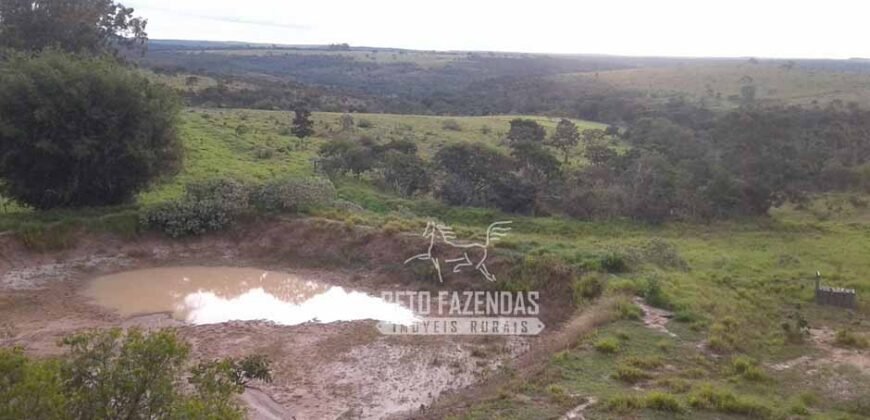 Fazenda Produtiva 3.260 hectares Lavoura de Cana e Eucalipto | João Pinheiro/MG Fazenda Produtiva 3.260 hectares Lavoura de Cana e Eucalipto | João Pinheiro/MG